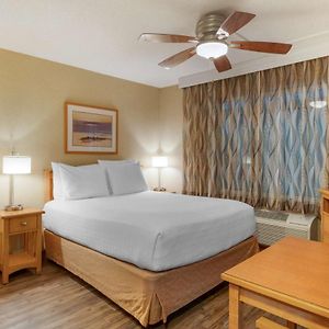 Single Queen Economy Room Disability Access